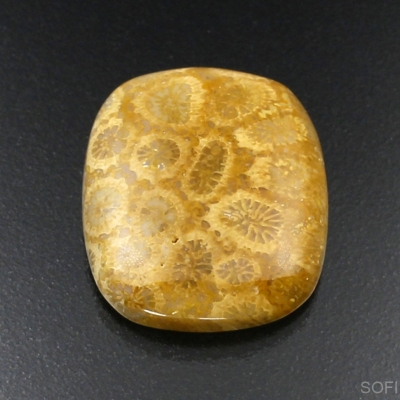 Камень агатизированный Коралл натуральный 26.00 карат арт 12409