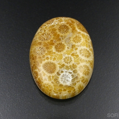 Камень агатизированный Коралл натуральный 27.20 карат арт 12811