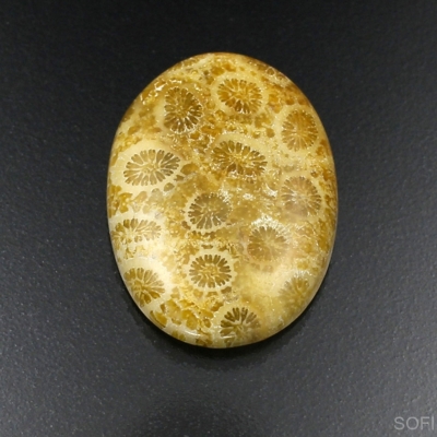 Камень агатизированный Коралл натуральный 29.30 карат арт 2532