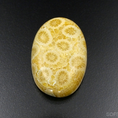 Камень агатизированный Коралл натуральный 32.10 карат арт 9668