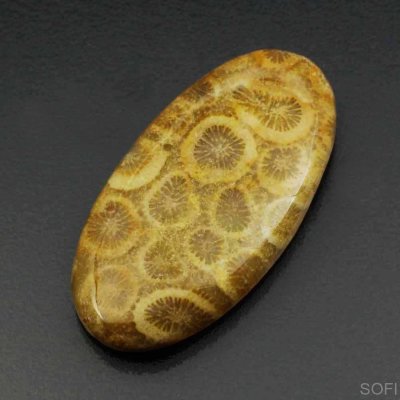  Камень агатизированный Коралл натуральный 22.00 карат арт 12081
