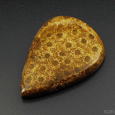  Камень агатизированный Коралл натуральный 26.00 карат арт 9999