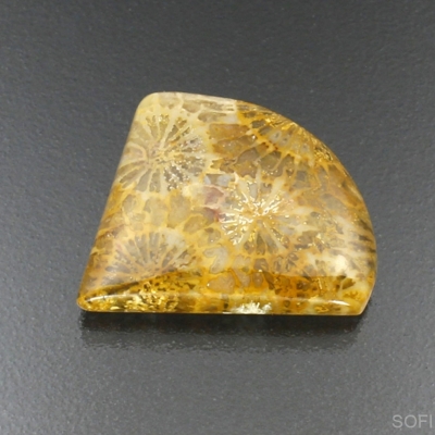 Камень агатизированный Коралл натуральный 17.60 карат арт 23814