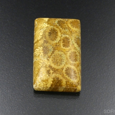 Камень агатизированный Коралл натуральный 20.40 карат арт 12747