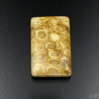 Камень агатизированный Коралл натуральный 23.20 карат арт 16026