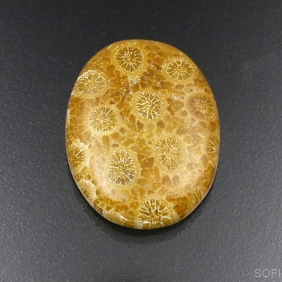 Камень агатизированный Коралл натуральный 23.30 карат арт 12497