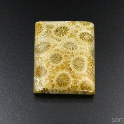 Камень агатизированный Коралл натуральный 25.10 карат арт 9811