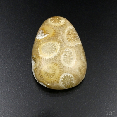 Камень агатизированный Коралл натуральный 25.35 карат арт 16090